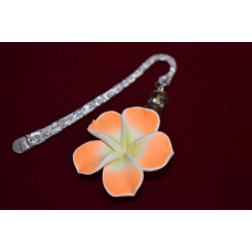 Grāmatzīmes - dažādas krāsas